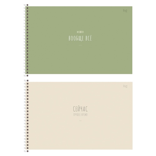 Альбом для рисования 40л., А4, на спирали АР4гр40 06803 Basic "Дава"