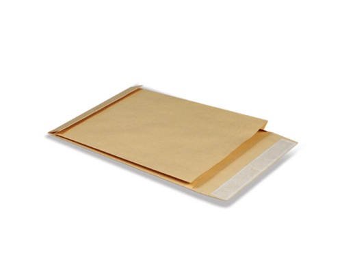 Конверт-пакет Extrapack 229х324х40мм, на 250листов 121739 "Дава"