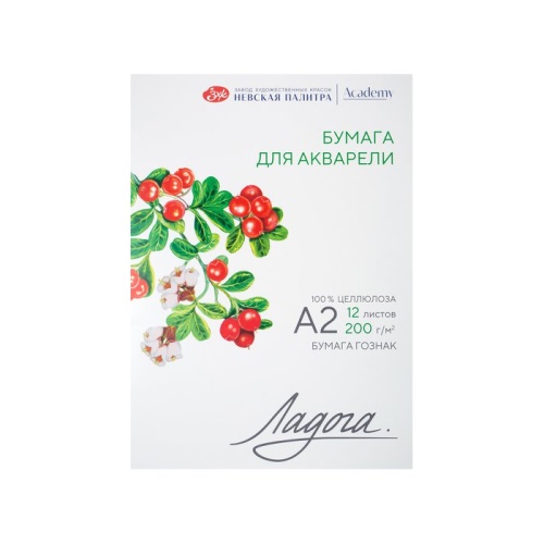 Папка для акварели А2/12л 252781937, 200г/м2 Ладога "Дава"