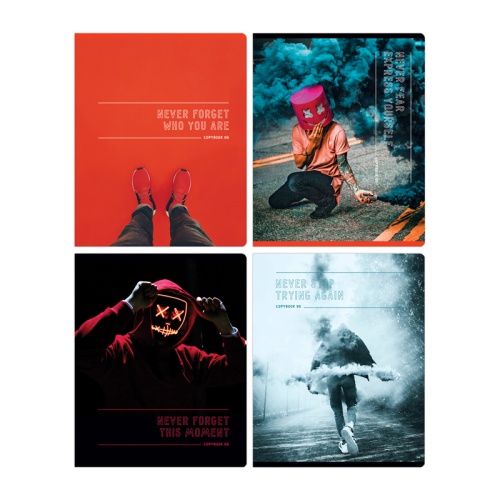 Тетрадь 96л. кл. Т5ск96_лг 11109 Никогда "Дава"