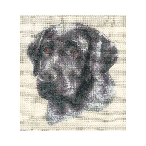 Набор для творчества PANNA J-1475 вышивка крестиком Черный лабрадор, 17 х 18.5 см "Дава"